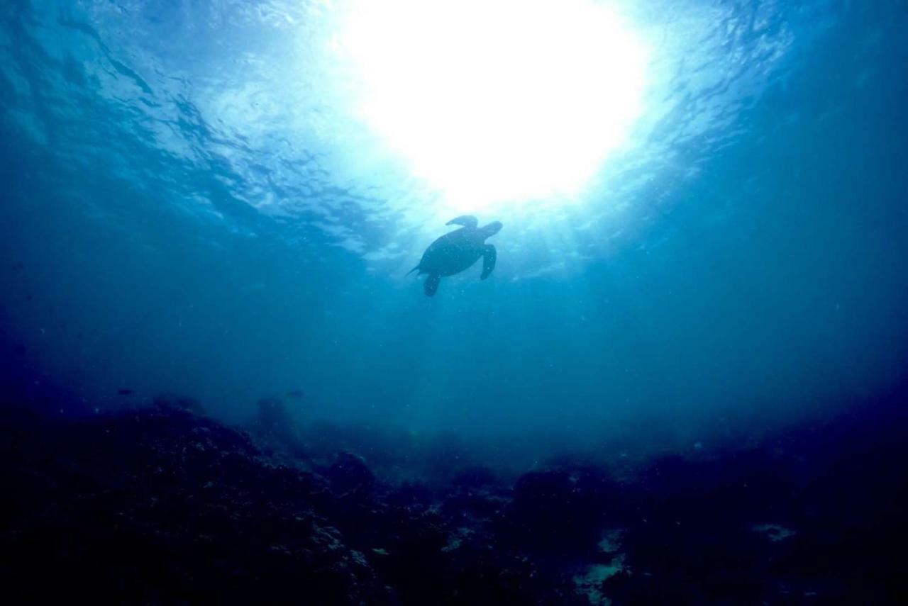 Blue Ocean Lodge & Diving Centre Semporna 蓝海潜水旅舍 외부 사진