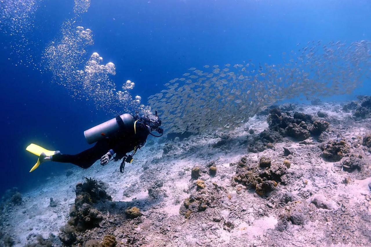 Blue Ocean Lodge & Diving Centre Semporna 蓝海潜水旅舍 외부 사진